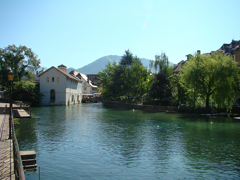 DSC07726
