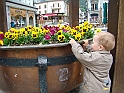 DSC07871