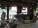 DSC07878