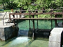 DSC07973