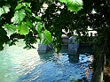 DSC07991
