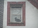 P2190026