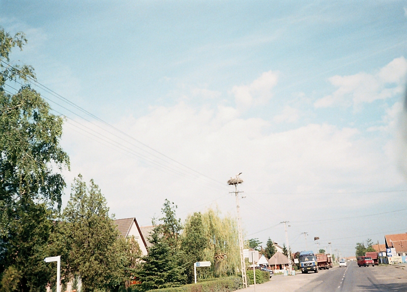 Original image
