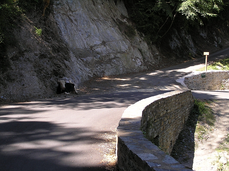 Original image