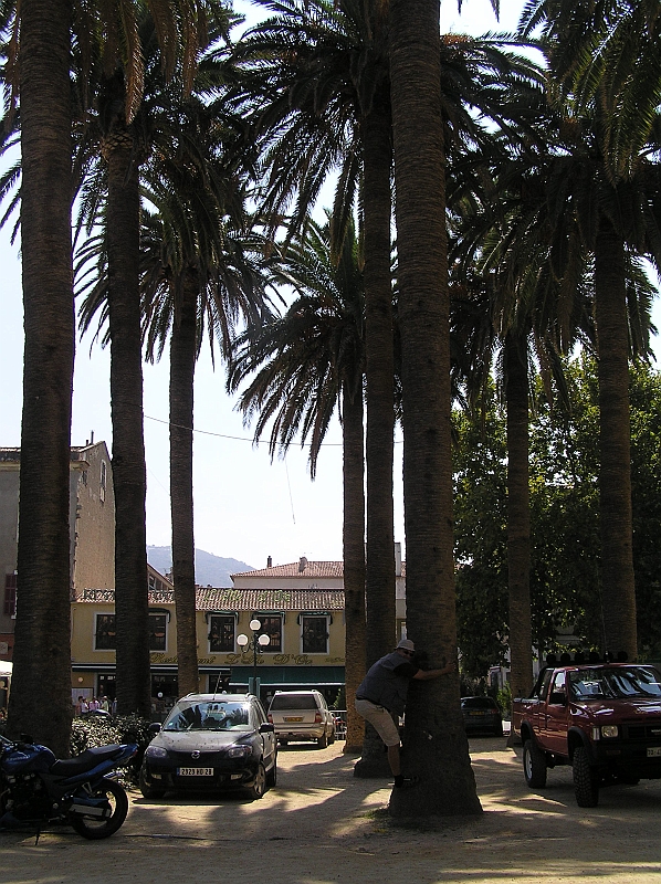 Original image