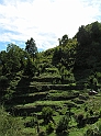 P8300113