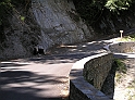 P8300116