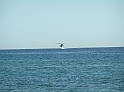 P8310125