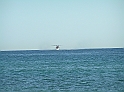 P8310126