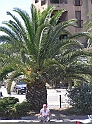 P8310143