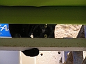 P8310184