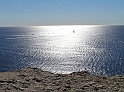 P8310196