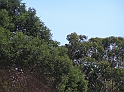 P9010214