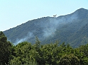 P9010219