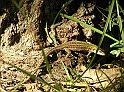 P9020226