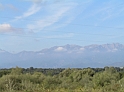 P9030237