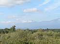 P9030238