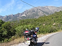 P9030239