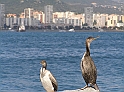P9030264