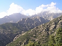 P9030284