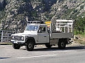 P9030287