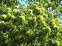 P9030288