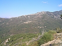 P9030291