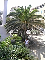 P9060378