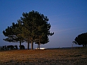 P9060444