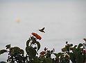 P9070472