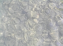 P9090484