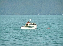 P9090491