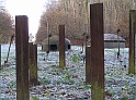 PB200009