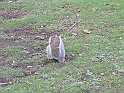 P1070440