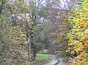 PB010118