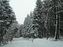 P3040036