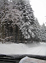 P3040040