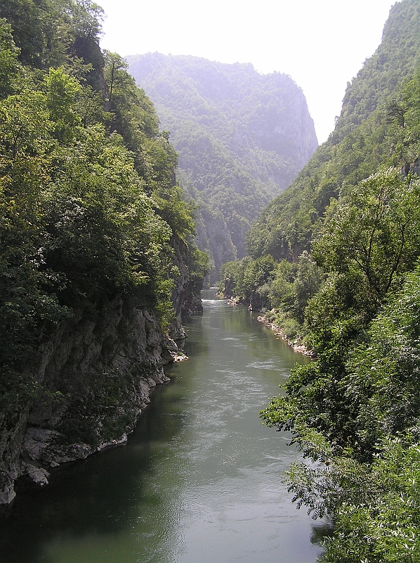 Original image