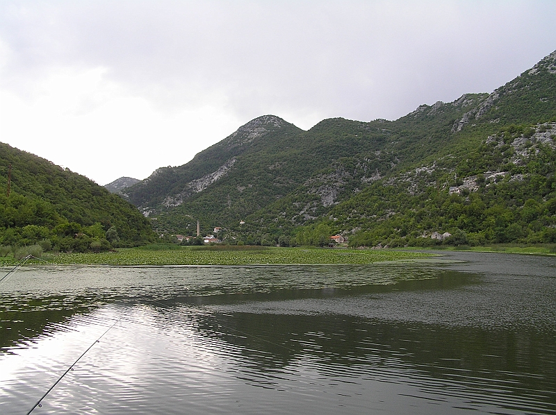Original image