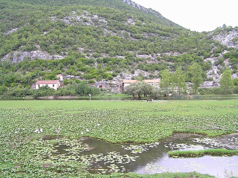 Original image