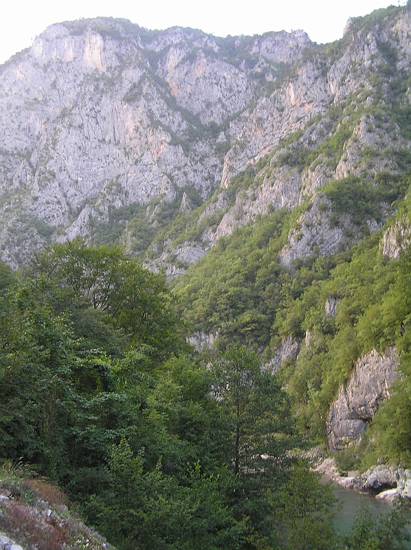 Original image