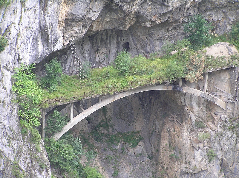 Original image