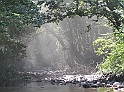 P8010020