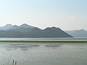 P8010043