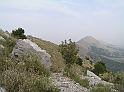 P8030072