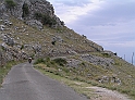 P8030091
