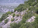 P8030094