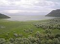 P8030100