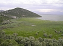 P8030101