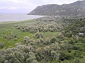 P8030104
